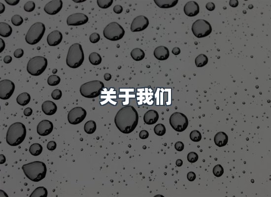 关于我们
